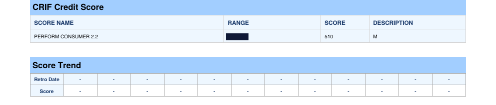 CRIF High Mark report from 31 July 2026 showing a Perform Consumer score of 510