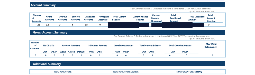 CRIF account summary from August showing 21 accounts, zero overdue accounts, and total amount overdue of zero